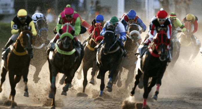 SIS anuncia nova parceria de apostas no turfe italiano