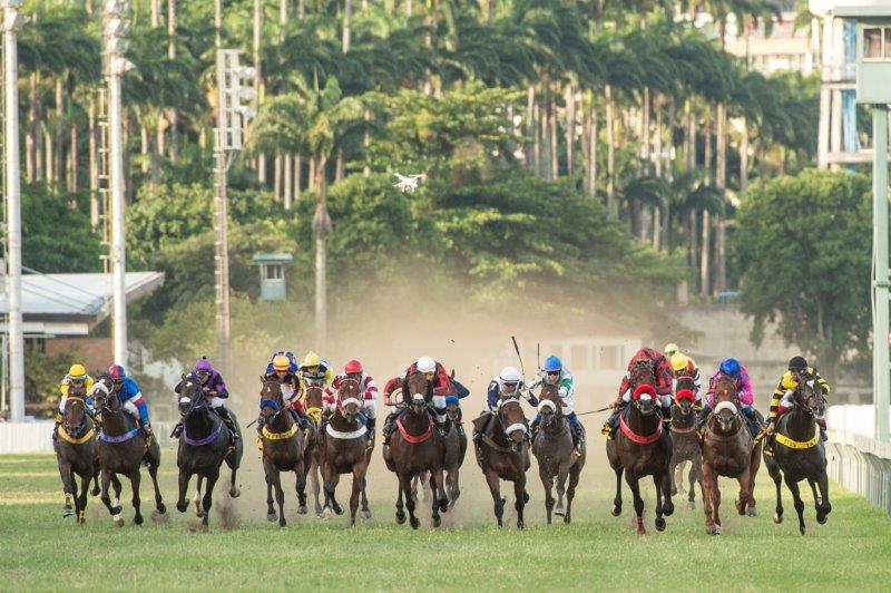 Corrida de Cavalo