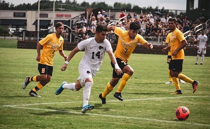 Previsões Esportivas: Mitos e Verdades que Você Precisa Saber